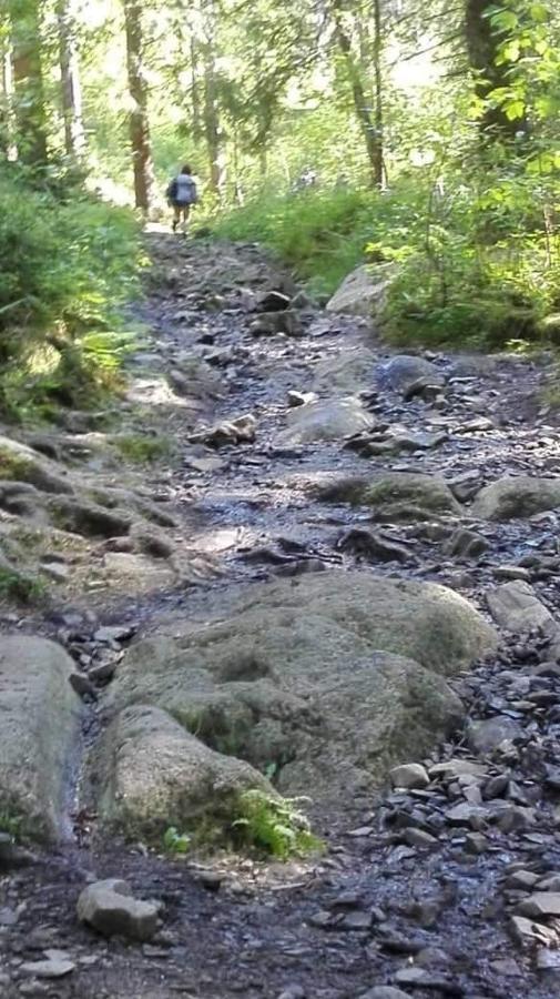Harzlich Apartman Altenau  Kültér fotó