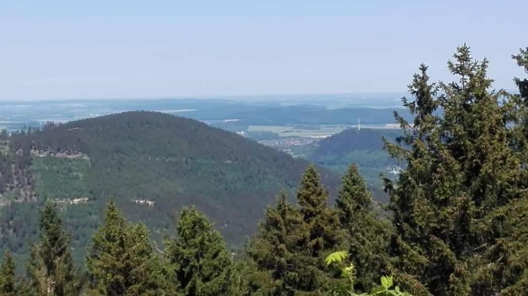 Harzlich Apartman Altenau  Kültér fotó